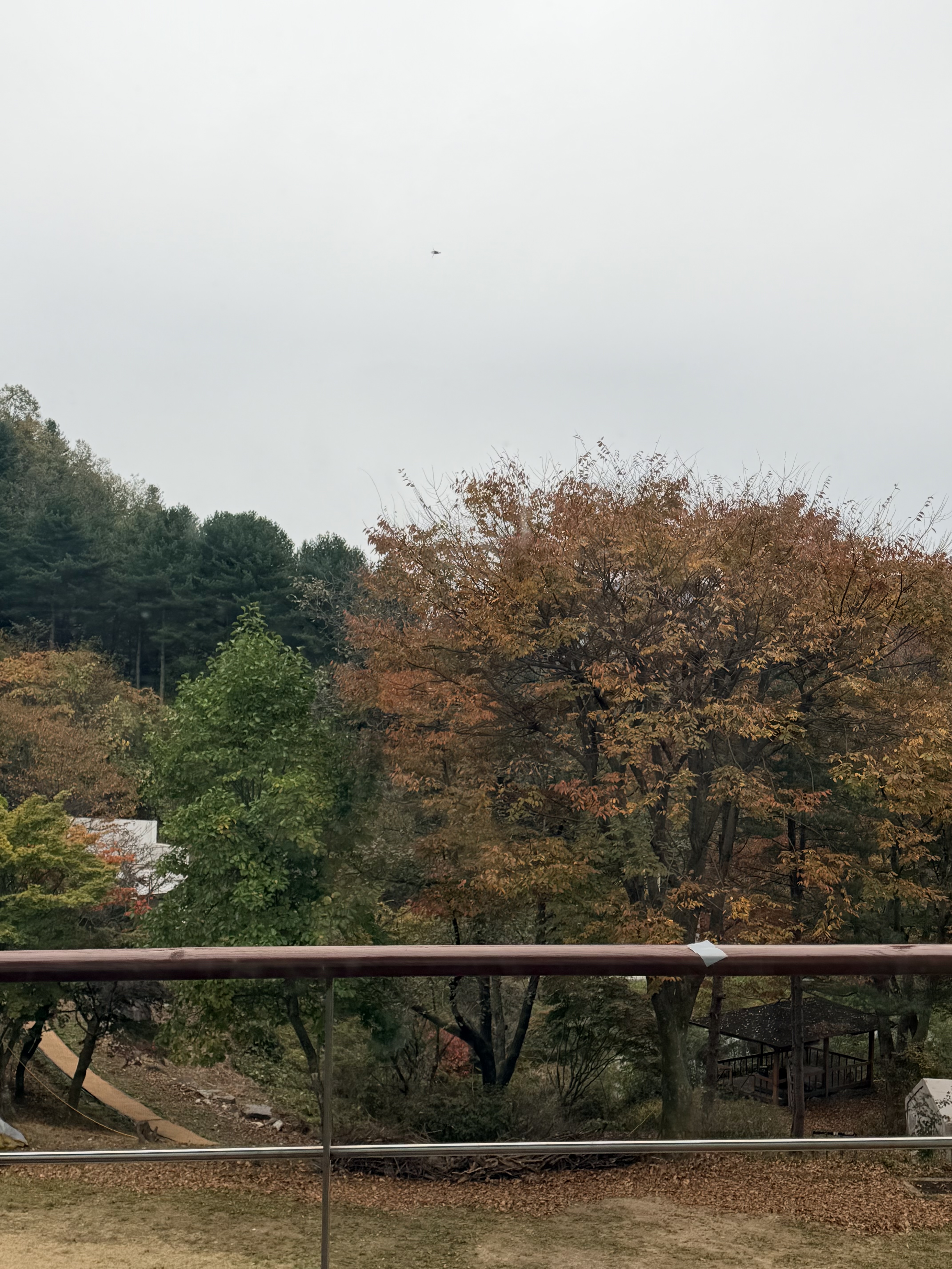 완전 힐링에 재밌었어요!!!