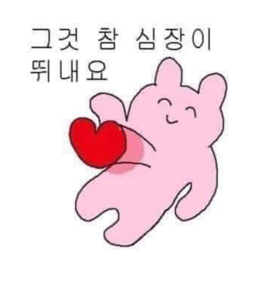 설렘 후기